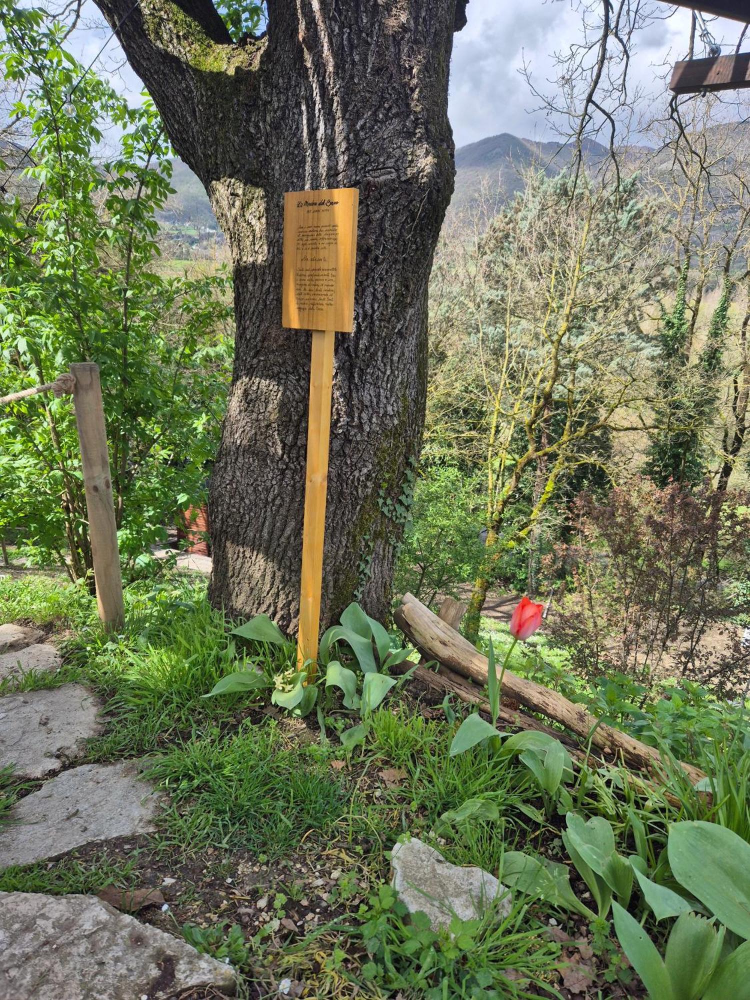 B&B Colle Di Terria Country House Contigliano Екстер'єр фото