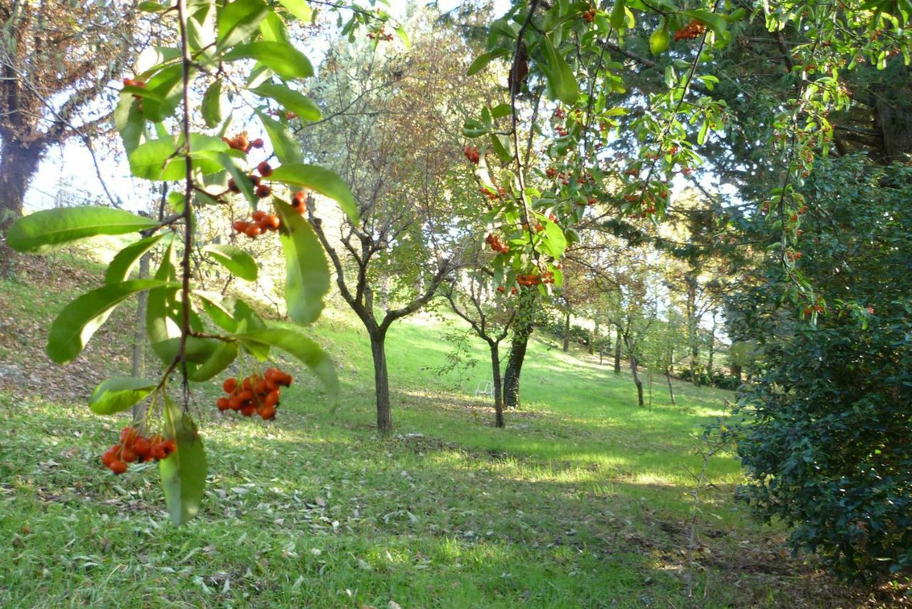 B&B Colle Di Terria Country House Contigliano Екстер'єр фото